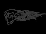 scull5.jpg