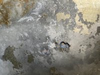 B3734E84-78B9-40E5-8658-75AC68D8ED16.jpeg