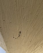 IMG_0854.jpg