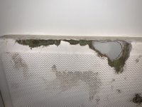 IMG_6444.JPEG