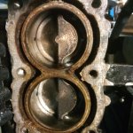 IMG_20220128_090105.jpg