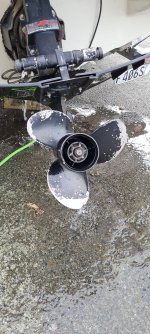 20220130_185608.jpg