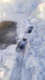 20220122_140653.jpg