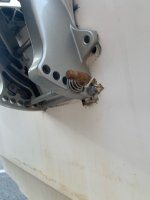 IMG_7410.jpeg