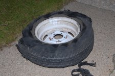 DSC_0217.JPG