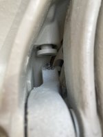 IMG_7209.jpeg