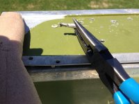 IMG_1385.JPG
