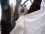 halloweeo 006.jpg