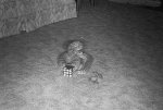 RATTLE SNAKES B 625X419.jpg