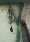 100_2429.jpg