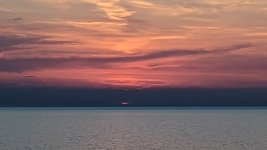 PXL_20220514_010738579.MP.jpg