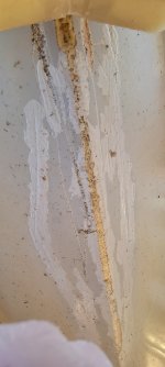 20220125_161725.jpg