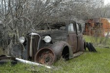DSC_0017.JPG
