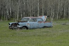 DSC_0013.JPG
