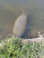 IMG_20220614_093334.jpg