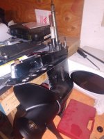 IMG_20220626_205858737.jpg