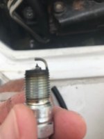 spark plugs.jpg