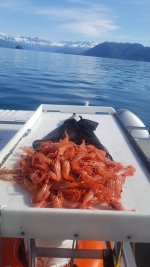20220703_094254.jpg