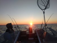IMG_20201031_182022393.jpg