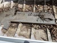 original floor1.JPG