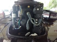 IMG_20220801_082906122.jpg