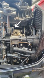 TritonThrottle copy.jpg
