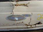 DSC08515.JPG