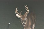 10 pt 1.jpg