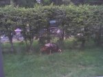 05-18-09_1351.jpg