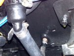 IMG00148-20091121-1452-1.jpg