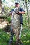 asiancarp.jpg