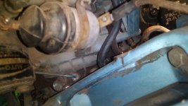 IMG_20220916_194931.jpg