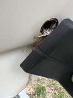 DA98069A-DB7F-4493-AEA4-1092483D5549.jpeg
