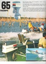 Evinrudeb73009.jpg