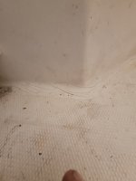 20230310_150220.jpg