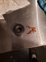 thumbnail (19).jpg