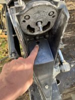 IMG_2294.jpeg