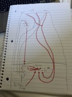3E7ED1E1-EE76-4D0F-A547-4DF640EA00D2.jpeg