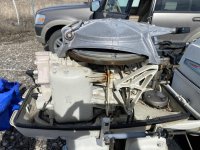 IMG_4064-compressed.jpeg