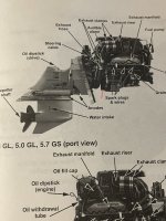 IMG_3265.jpeg