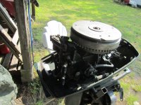 IMG_3956.jpeg