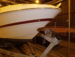random pics 004.jpg