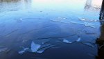ice intra coastal.jpg