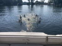 IMG_2920.jpeg