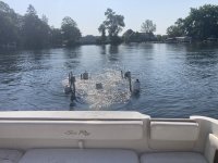 IMG_2919.jpeg