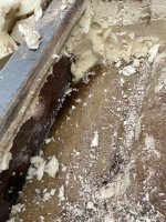 IMG_5807.jpeg