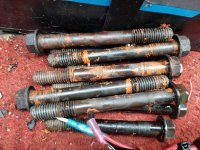 Silicone Bolts.jpg