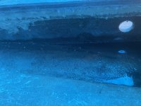 IMG_5830.jpeg