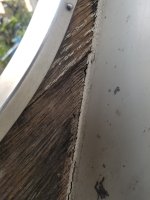 20230706_182856.jpg