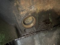 IMG_1165.jpeg
